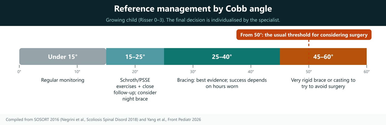 How to read: the coloured bar runs left to right with the Cobb angle increasing (0° to 60°). Under each segment is the management usually considered for a child who is still growing (Risser 0–3): under 15° monitoring; 15–25° Schroth/PSSE exercises and close follow-up, a night brace may be considered; 25–40° bracing has the best evidence; 45–60° very rigid brace or casting to try to avoid surgery. The red line at 50° is the threshold at which surgery is usually considered. The segment limits are reference ranges from the 2016 SOSORT guidelines and the 2026 Yang network meta-analysis; because Cobb measurement error is about ±5°, the cut-offs are not rigid. The final decision is individualised by a specialist.
