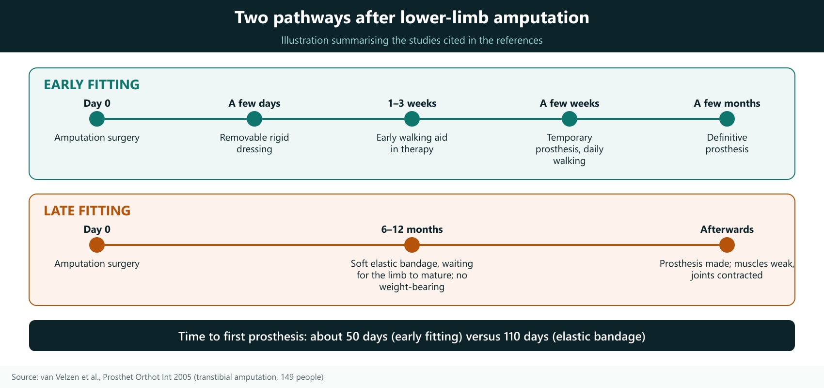 How to read: both timelines start on the day of surgery (day 0). Top (green, EARLY FITTING): removable rigid dressing → early walking with a training aid → temporary prosthesis → definitive prosthesis. Bottom (orange, LATE FITTING): soft elastic bandage, waiting for the stump to settle, no weight-bearing training → late prosthesis, with muscle weakness and joint contracture. Key figure: about 50 days versus 110 days to the first prosthesis (van Velzen et al., Prosthet Orthot Int 2005, 149 transtibial amputees). The figure illustrates the principle only; it must not be used to decide fitting time on your own.