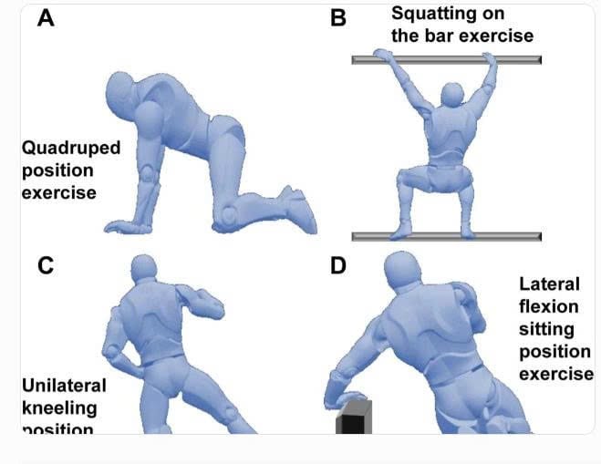 Examples of exercises: quadruped, bar hang/squat, unilateral kneeling, lateral flexion sitting (source: dungcuchinhhinh.vn)